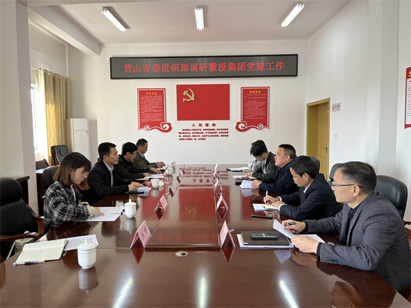 11月24日，黄山市委组织部部长程峰率队调研黄山星空（中国）集团党建工作，洪董作汇报.jpg